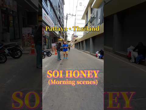 🇹🇭タイ・パタヤ にあるソイハニーを朝に散歩してみたぁ〜　Thailand ・Pattaya / SOI HONEY / Morning Scenes  #shorts