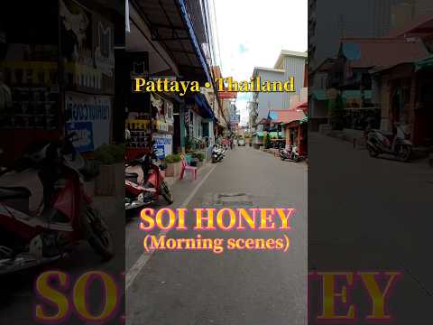 🇹🇭タイ・パタヤ にあるソイハニーを朝に散歩してみたぁ〜　Thailand ・Pattaya / SOI HONEY / Morning Scenes  #shorts