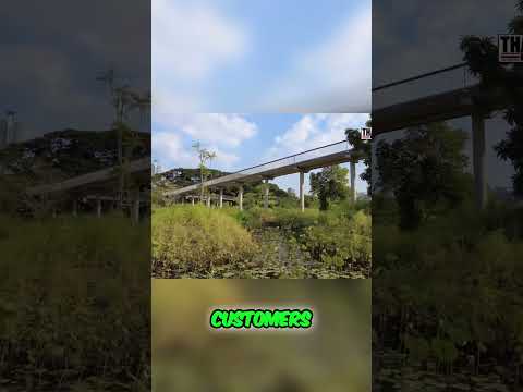 The Truth About Life for Pattaya’s Working Girls!