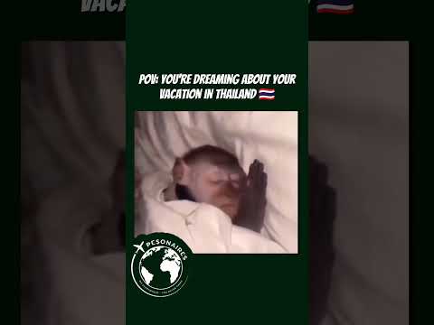 #pesonaires #thailand #pattaya #soi6 #thaigirls #travelmemes #passportboys #passportbros